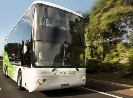 Travelling to Mount Maunganui by bus is an easy and affordable option, particularly from major North Island cities.